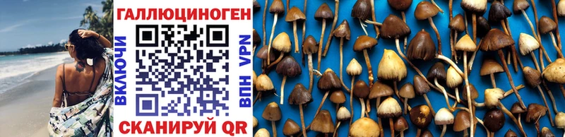 Псилоцибиновые грибы Magic Shrooms как найти Грязовец